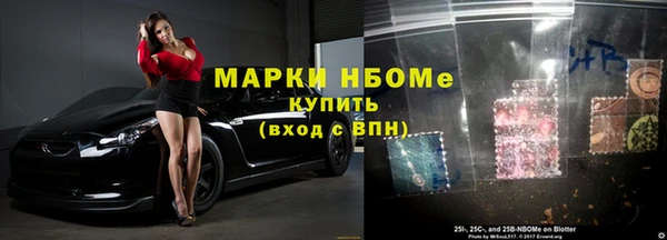 ECSTASY Инсар