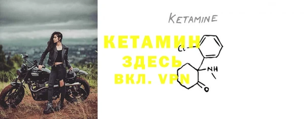 стаф Инта