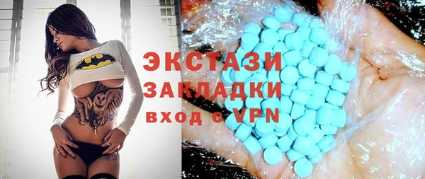 ECSTASY Инсар