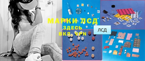 стаф Инта