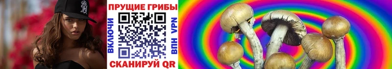 Псилоцибиновые грибы мицелий  Купить где  Гусев 